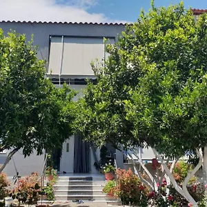 Anila Divjaka